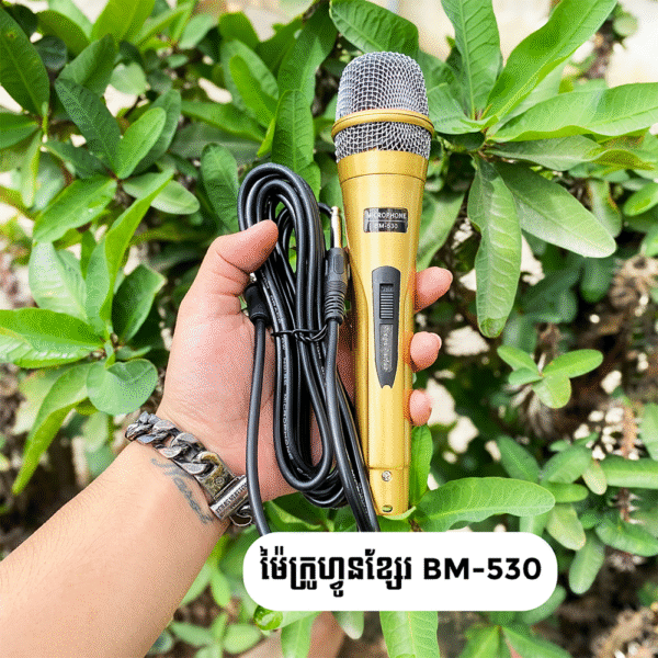 Wired Mic BM 530