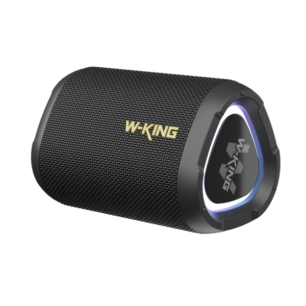 W-KING D110
